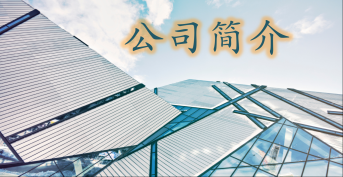 公 司 简 介