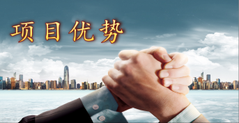 項目優勢