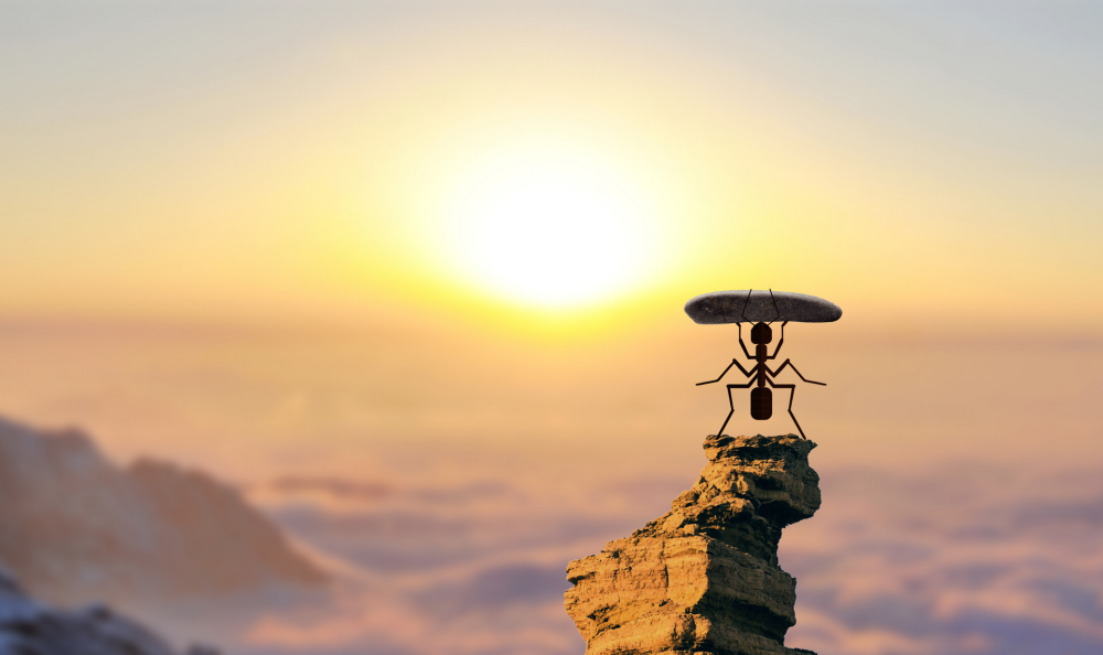 金旭教(jiào)育|孩(hái)子的自信心，來(lái)源于無數次成(chéng)功的體(tǐ)驗