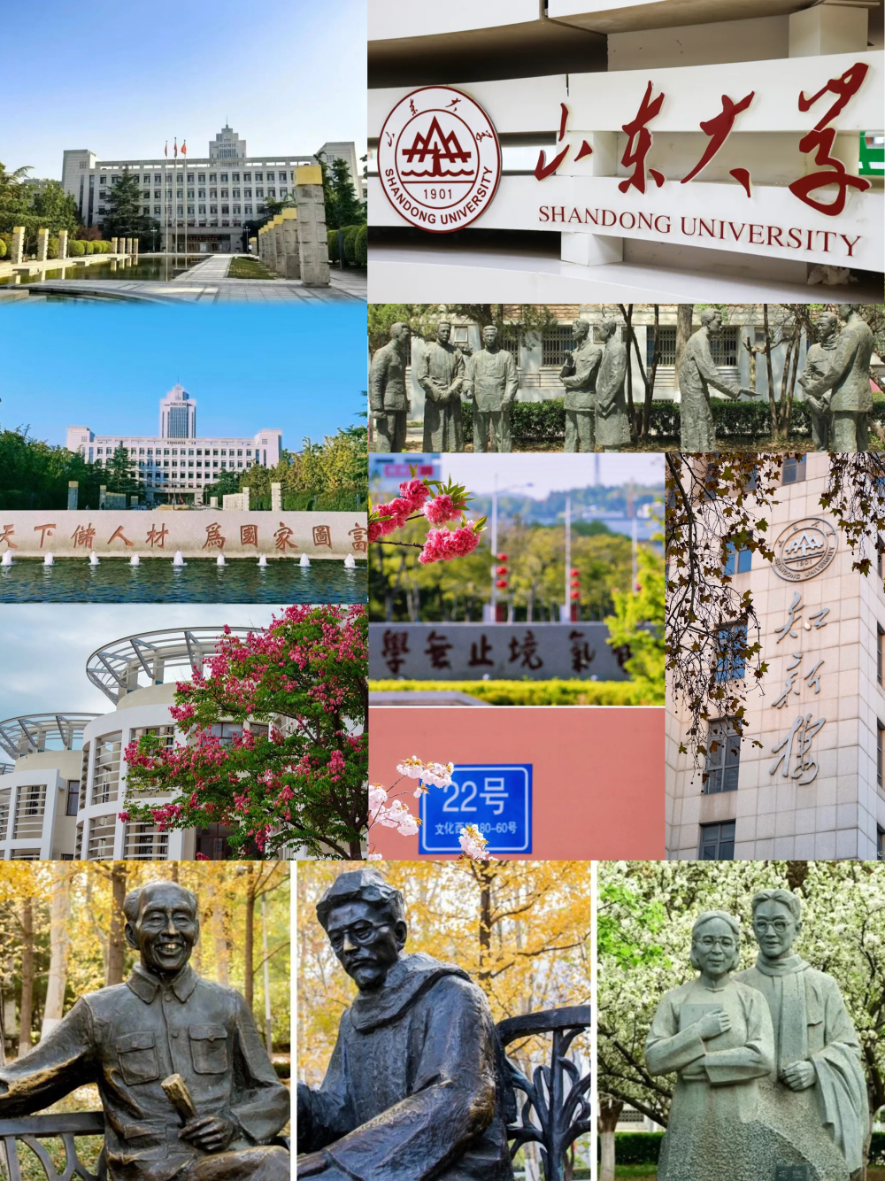 05山东大(dà)学.png